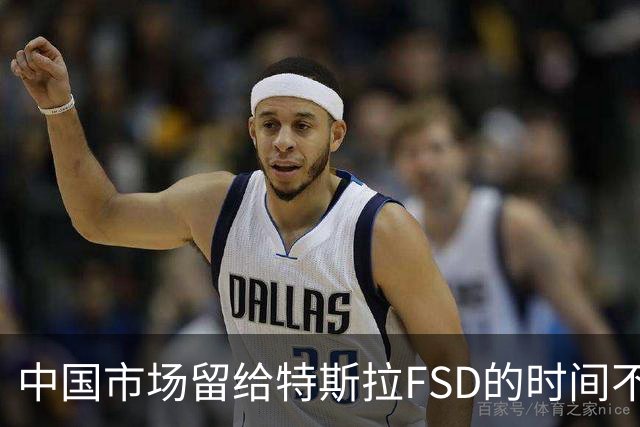 中国市场留给特斯拉FSD的时间不多了？
