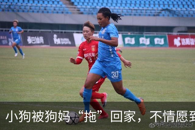 小狗被狗妈“拖”回家，不情愿到连爪子都在控诉：我还要玩！
